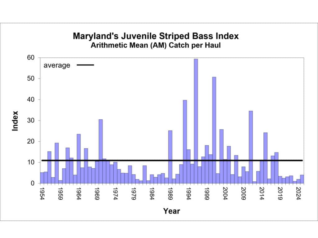 Chesapeake Bay striped bass young-of-year graph