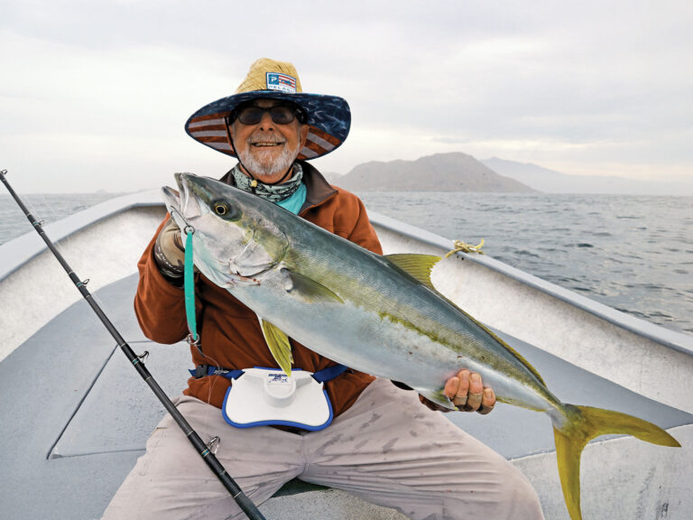 Large yellowtail caught off Cedros Island