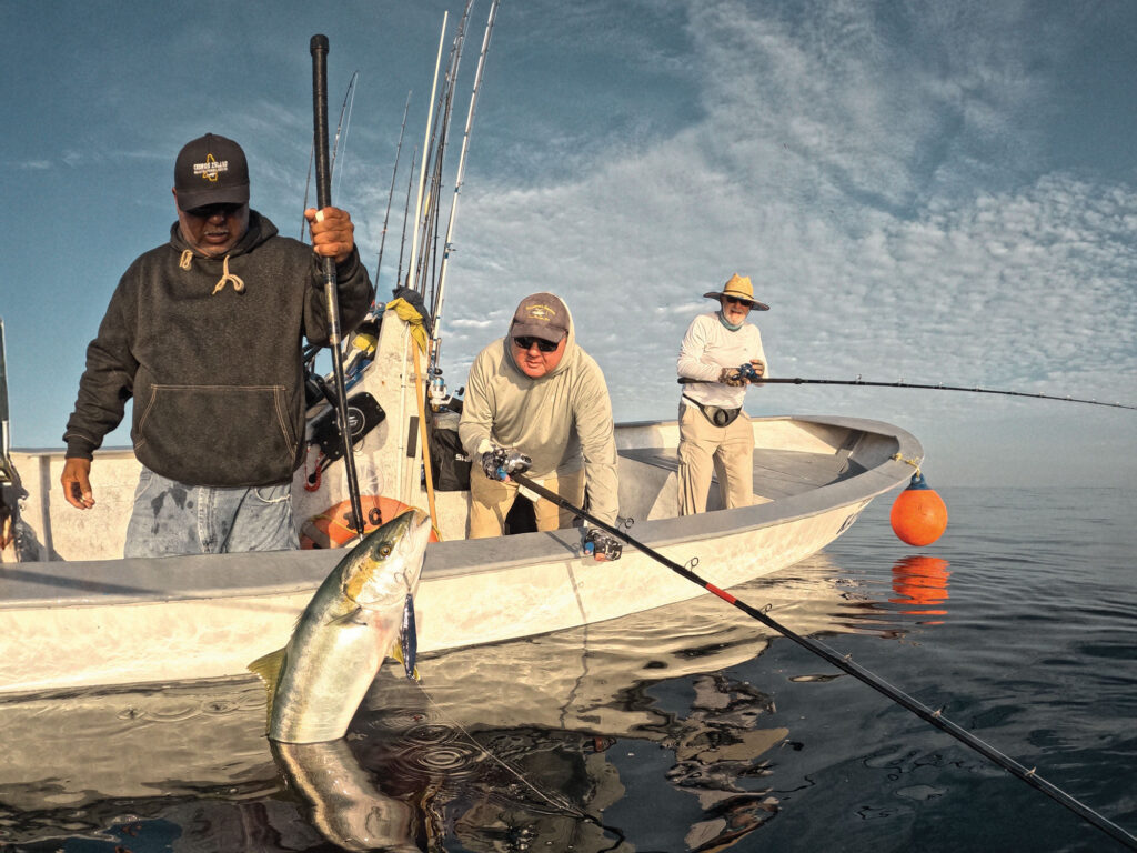 Yellowtail at the boat