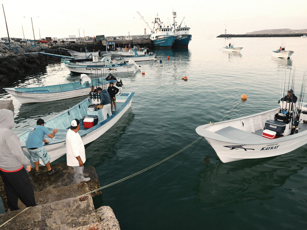 Pangas readying to fish