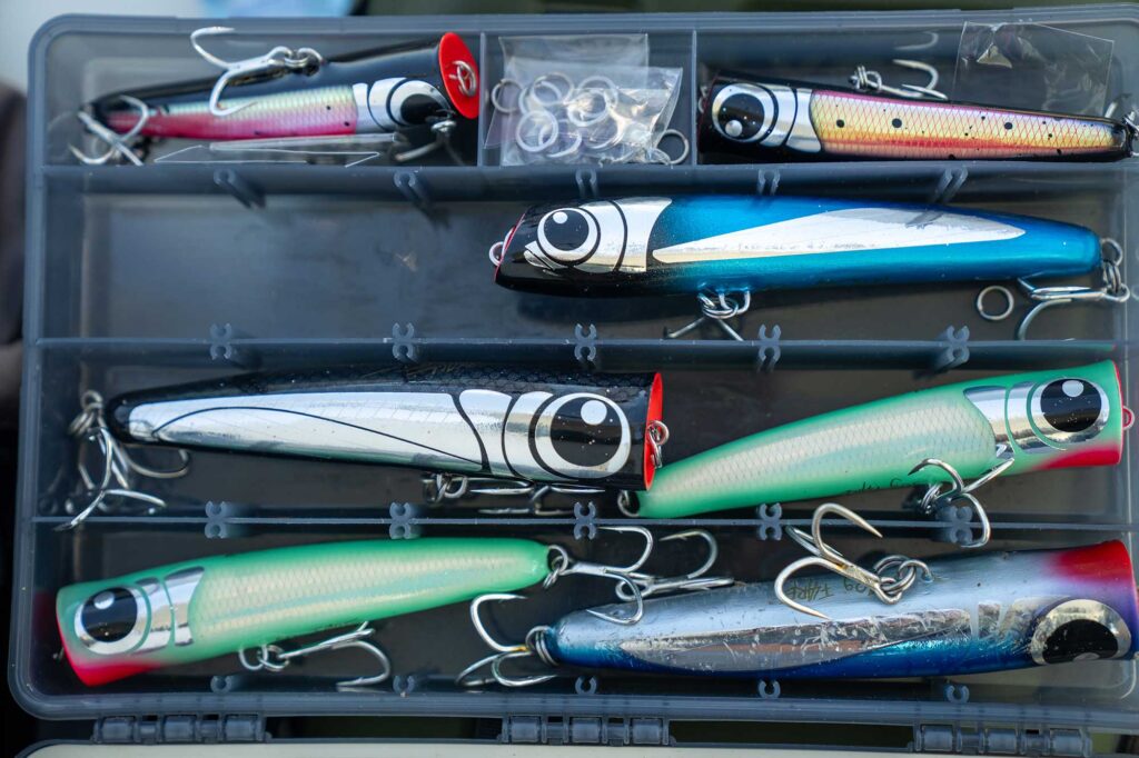 Tackle box with lures
