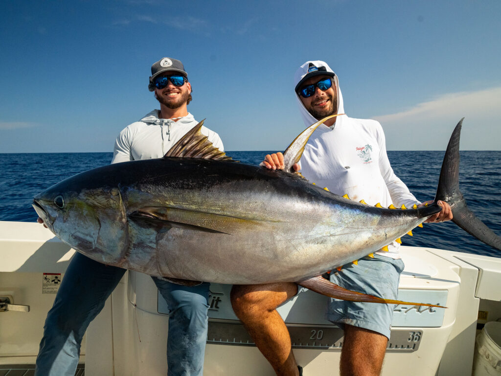 Anglers with large tuna
