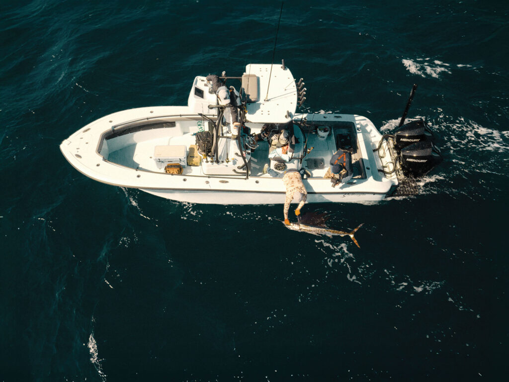 Spotting fish from a boat's tower