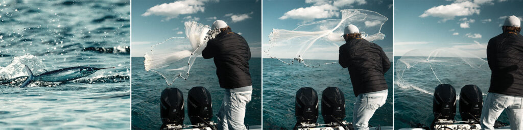 Throwing a cast-net at ballyhoo