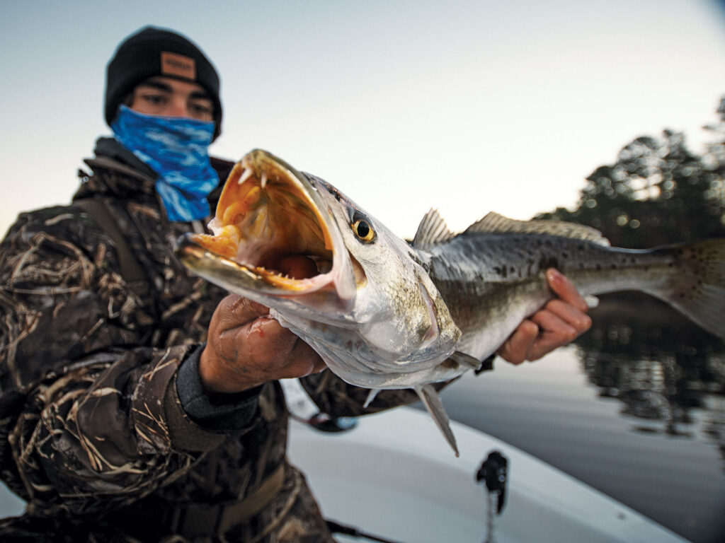 Large seatrout caught in the Chesapeake