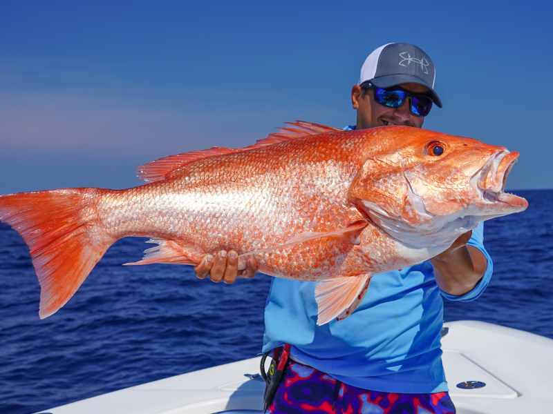 Red-snapper-for-FB South Atlantic Red Snapper