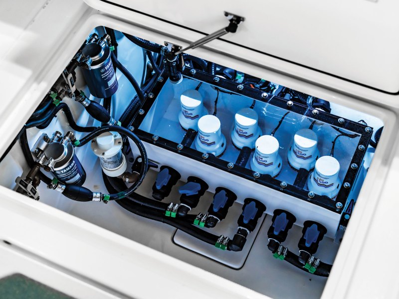 Multiple livewell pumps