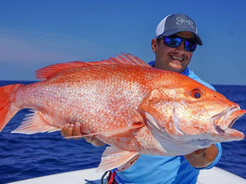 SWS1225-Bottomfishing-TN Angler with large red snapper