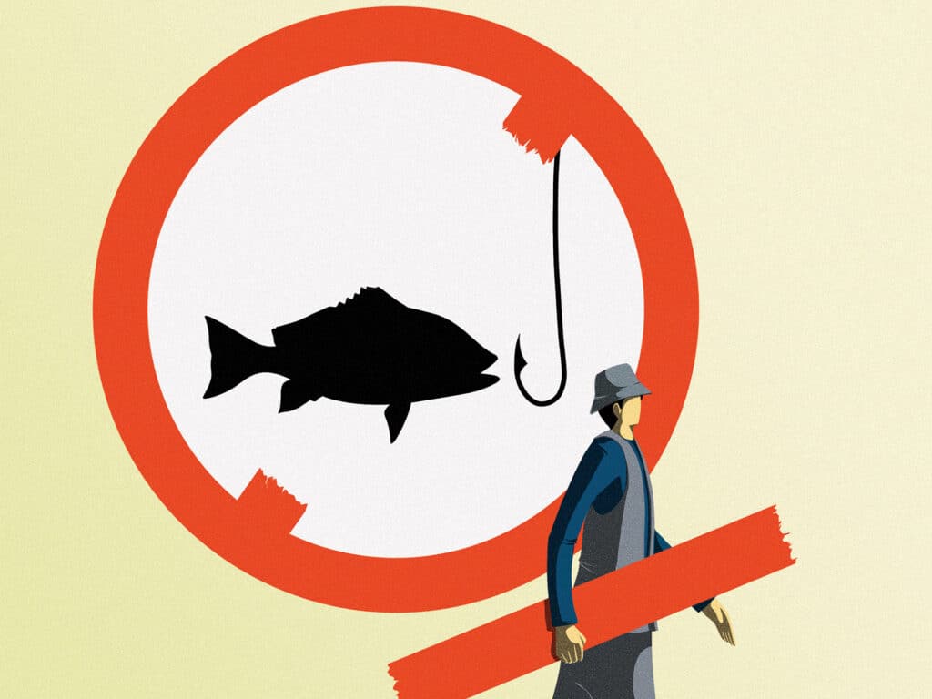 State management of red snapper fisheries