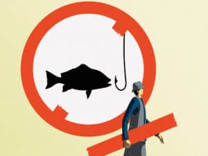 State management of red snapper fisheries