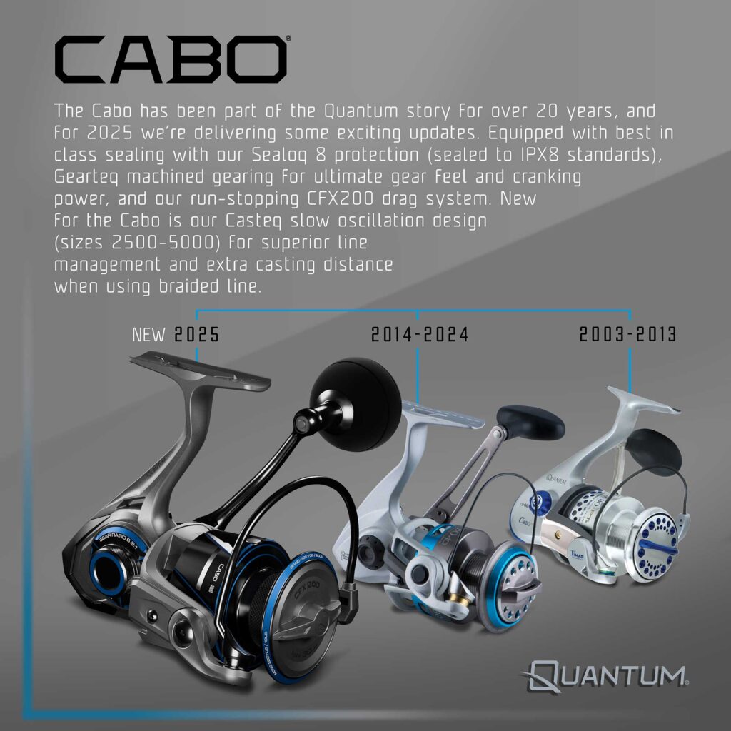 Cabo Timeline Infographic