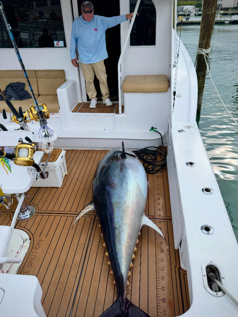Virginia state record bluefin tuna