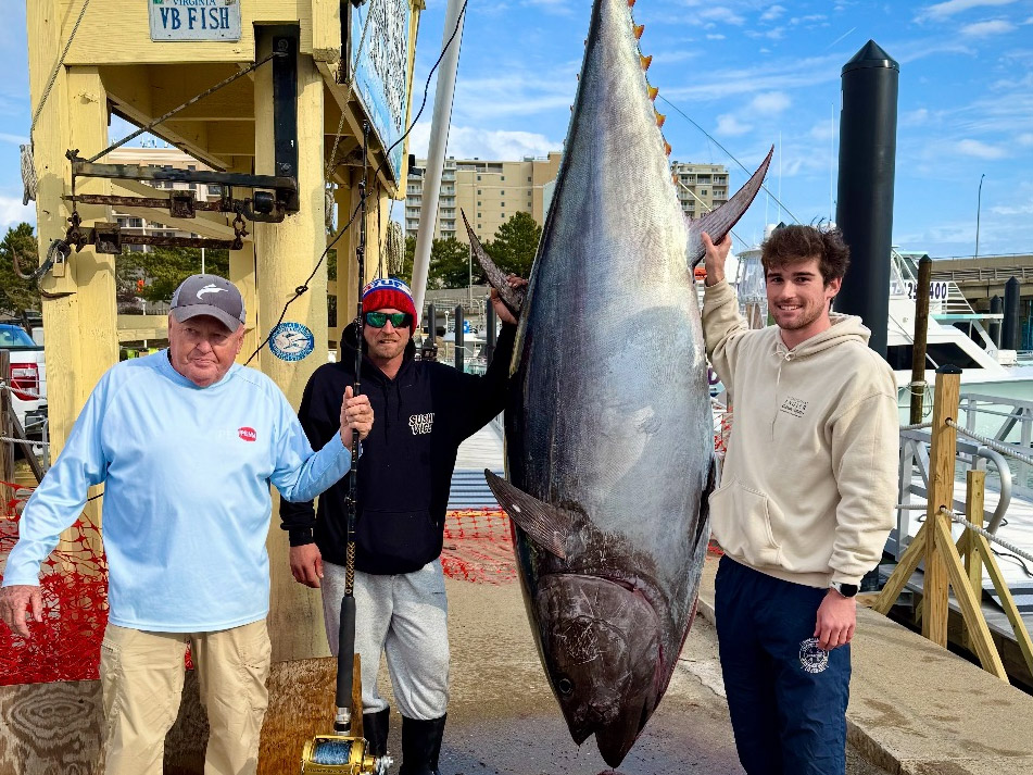 Virginia state record bluefin tuna