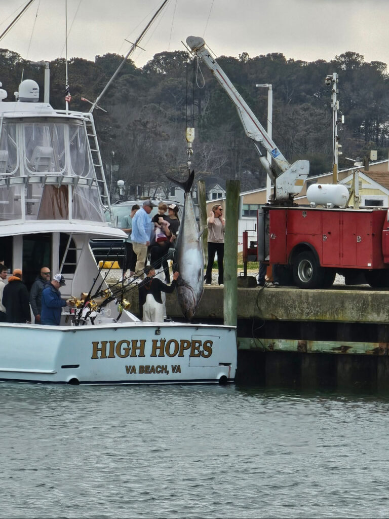Virginia state record bluefin tuna