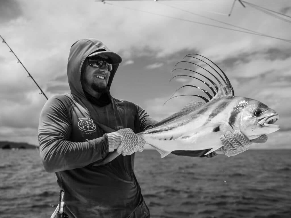 Roosterfish Costa Rica