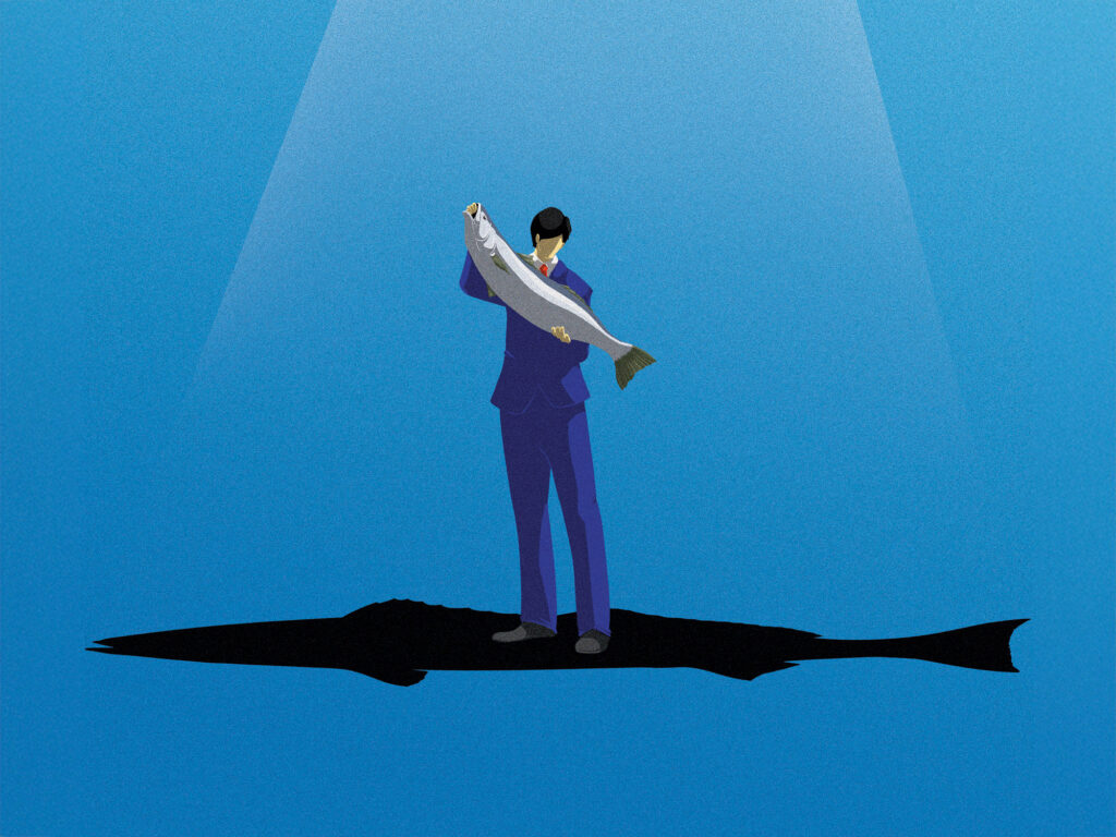 Increasing size limit for white seabass