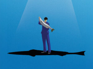 Increasing size limit for white seabass