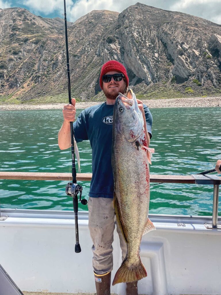 White seabass caught using fluke