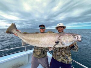 Large white seabass on the boat