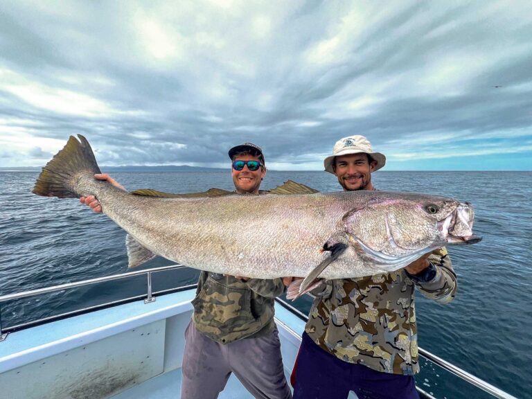 Large white seabass on the boat