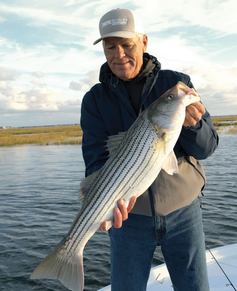 Striped bass caught along grass bed