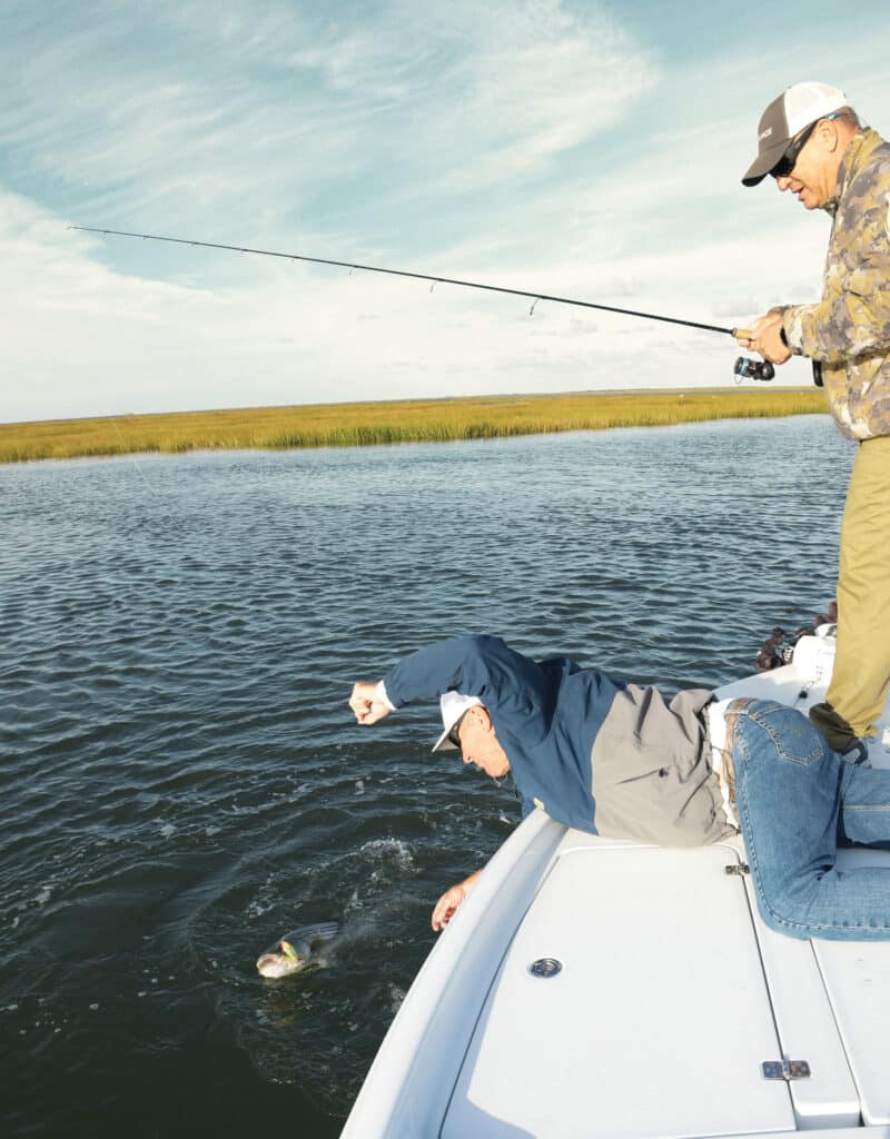 Striper up next to the boat