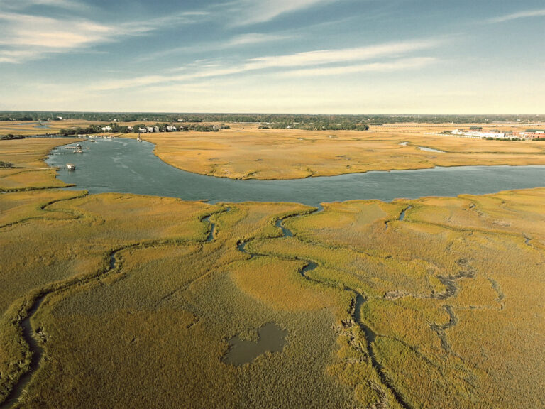 Marsh prime for fishing