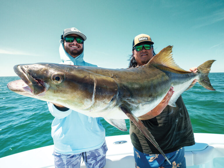 Large cobia caught off Virginia Beach