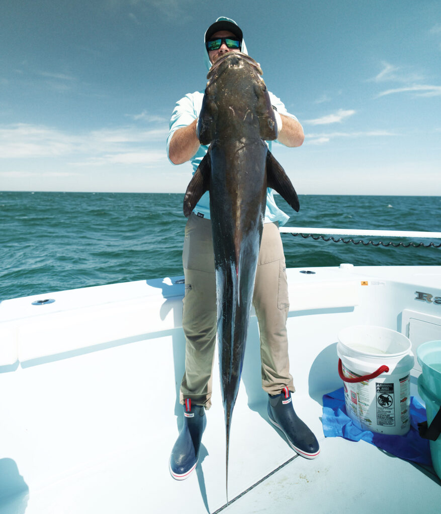 Large cobia on the boat