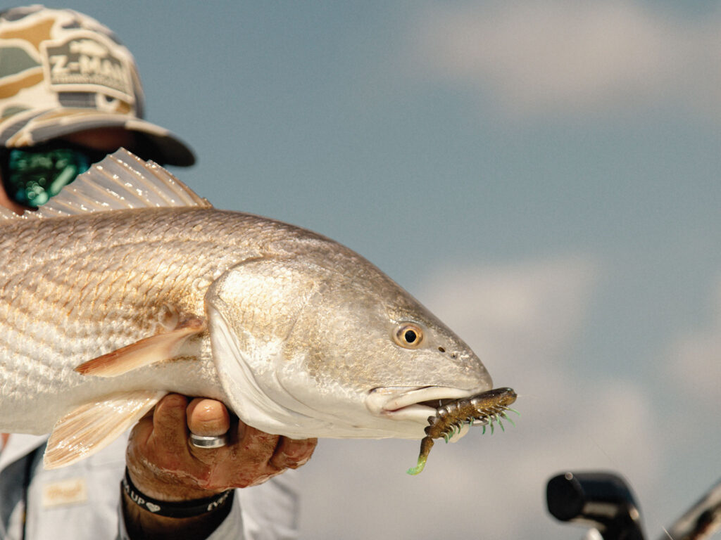Large redfish caught on light lure