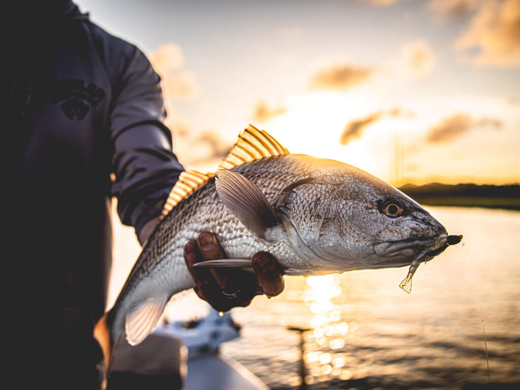 Skittish redfish caught on small bait