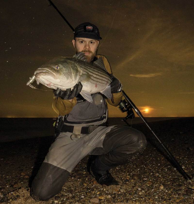 Striped bass from the shoreline