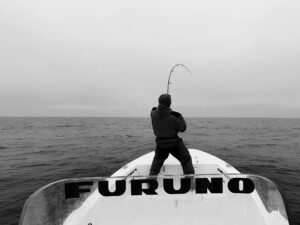 Fisherman using Furuno to find fish