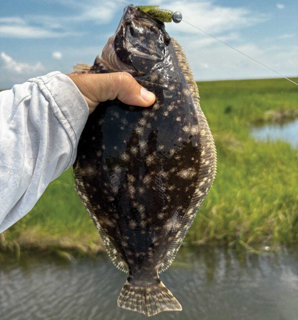 Flounder caught in South Louisiana marsh
