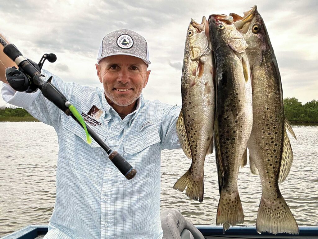 Multiple speckled trout in the marsh