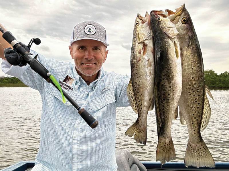 Multiple speckled trout in the marsh