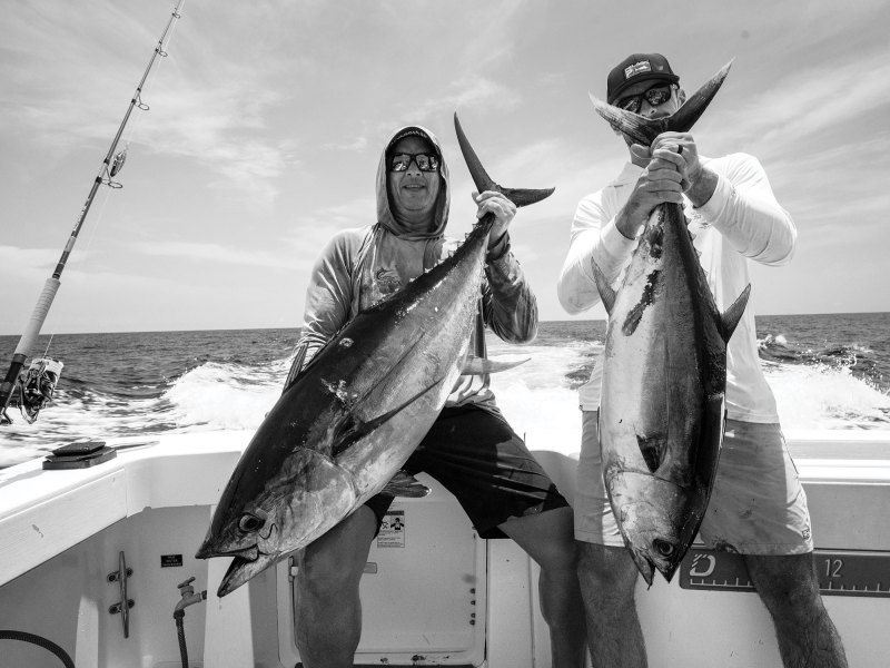 Two tuna on the boat