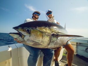Large tuna on a boat