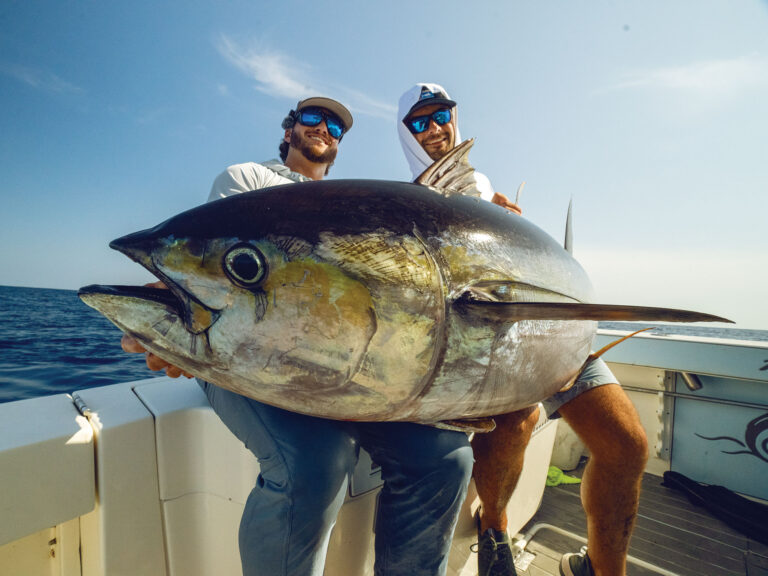 Large tuna on a boat
