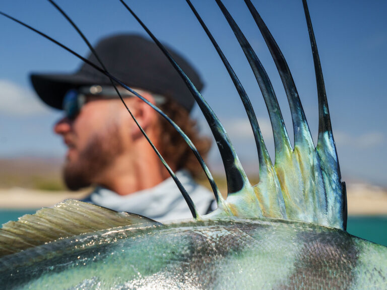 Roosterfish as part of the IGFA slam