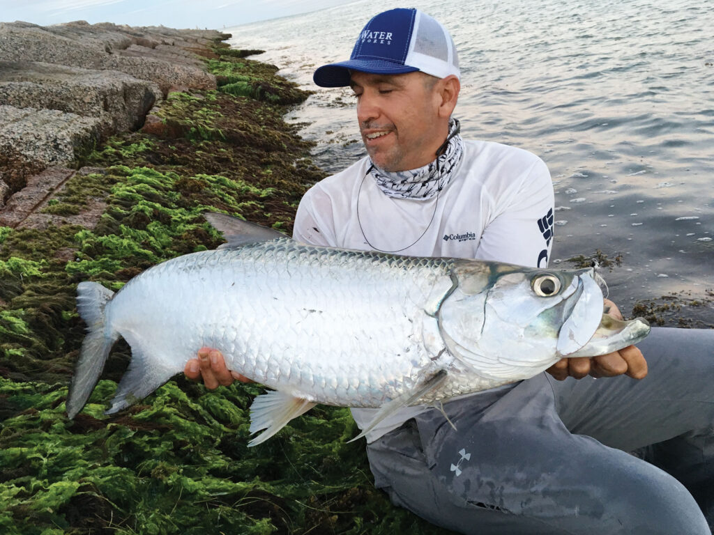 Tarpon on the rocks