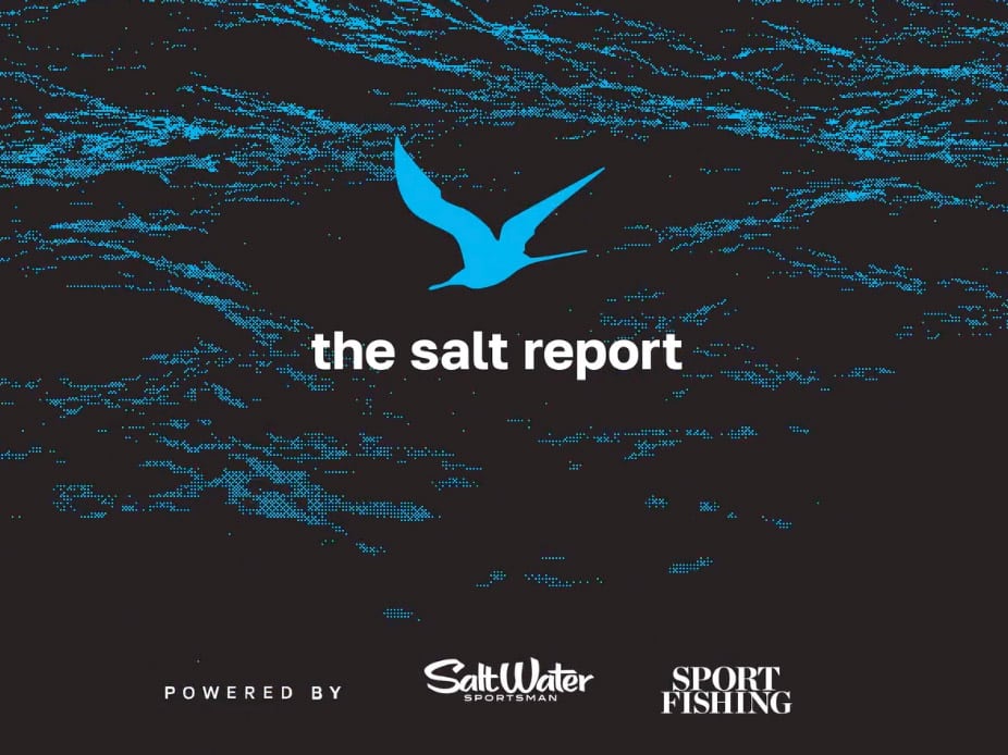 The Salt Report