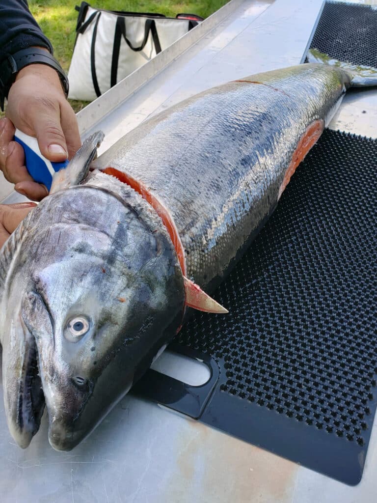 Fillet Away Fish CLeaning Mat