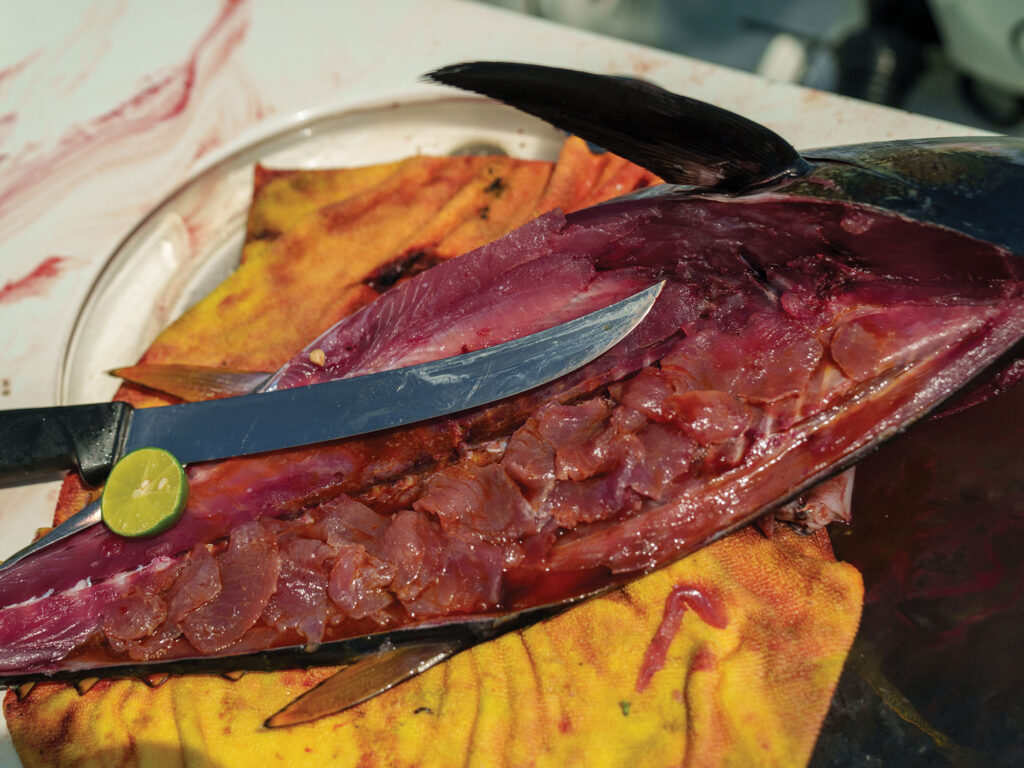 Fillet knife used for cleaning fish