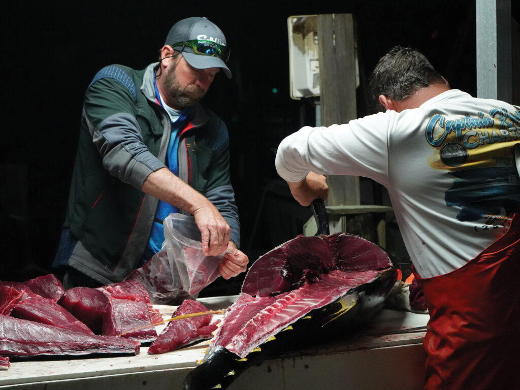 Cleaning a large tuna