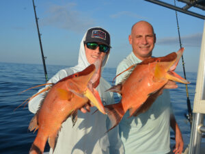 Two hogfish on the boat