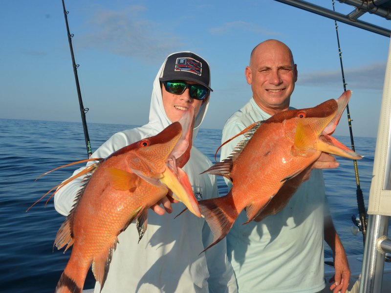 Two hogfish on the boat