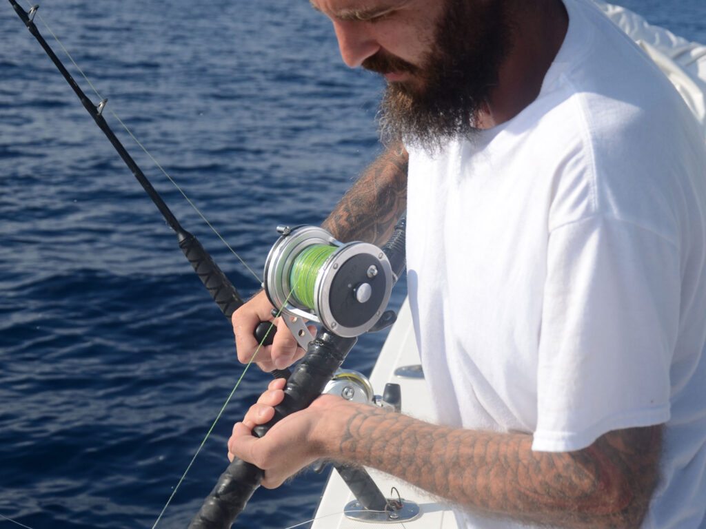 Tackle for catching hogfish