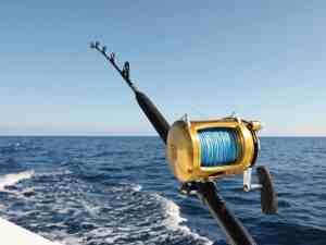 SWS426-TT-Sub-1 Bent-butt rod trolling