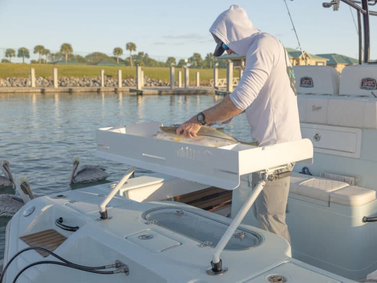 SeaWard on-boat fish cleaning table.